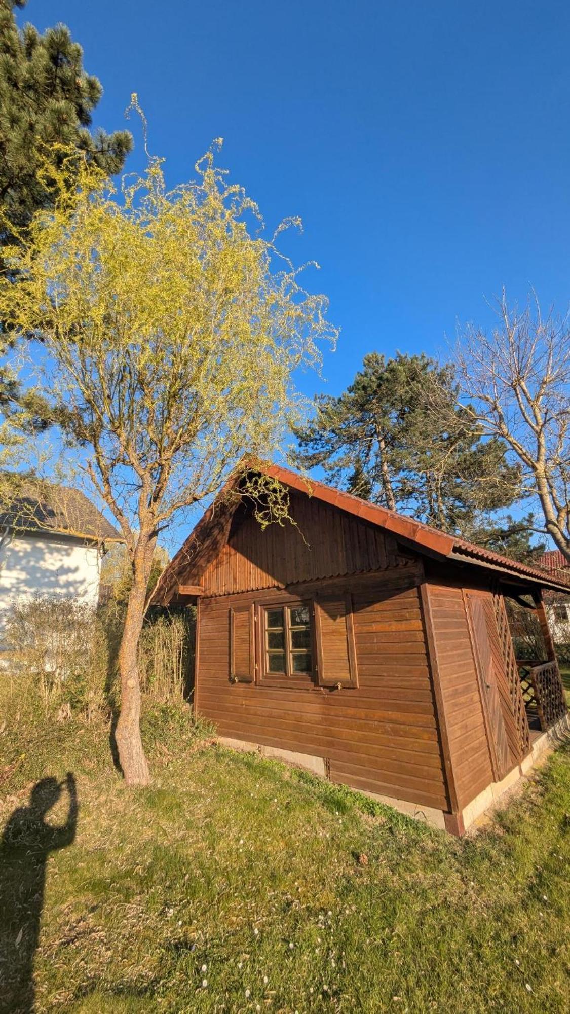 Landhotel Sonneneck - Breuna Im Naturpark Екстериор снимка